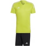 Equipamento de Fútbol ADIDAS Condivo 22 Jersey P-HE3058