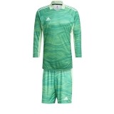 Tenue de Gardien de Fútbol ADIDAS Condivo 21 P-GT8421