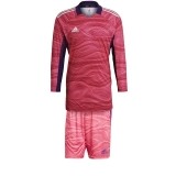 Tenue de Gardien de Fútbol ADIDAS Condivo 21 P-GT8420