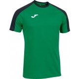 Maillot de Fútbol JOMA Eco Championship 102748.451