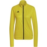 Veste de jogging de Fútbol ADIDAS Entrada 22 TK HI2137