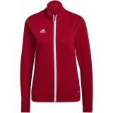 Casaco treino de Fútbol ADIDAS Entrada 22 TK H57562