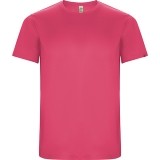Maillot  de Fútbol ROLY Imola CA0427-228