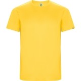 Maillot  de Fútbol ROLY Imola CA0427-03