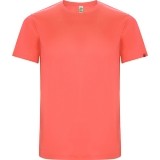 Maillot  de Fútbol ROLY Imola CA0427-234