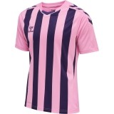 Maillot de Fútbol HUMMEL HmlCore XK Striped 211458-3266