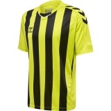 Camisola de Fútbol HUMMEL HmlCore XK Striped 211458-5047