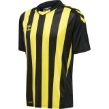 Camiseta de Fútbol HUMMEL HmlCore XK Striped 211458-5138
