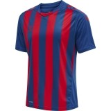 Camisola de Fútbol HUMMEL HmlCore XK Striped 211458-7358