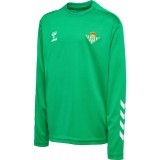 Camisola de Fútbol HUMMEL Entreno M/L Real Betis 2022-23 216842-6235