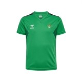 Camisola de Fútbol HUMMEL Entrenamiento 2023-2024 223245-6235