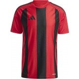 Camiseta de Fútbol ADIDAS Striped 24 IW4556